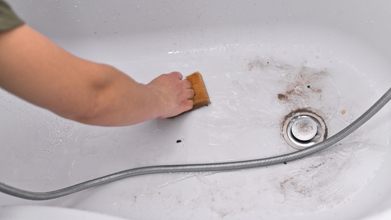 Person scrubbing tub with sponge
