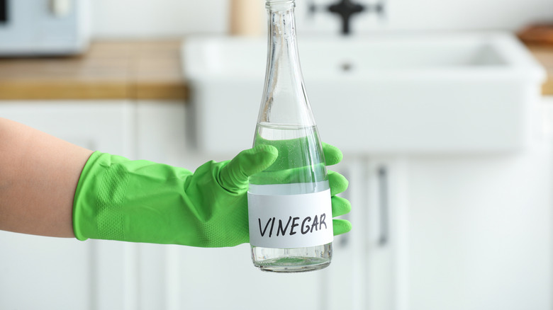 Person holding bottle of vinegar