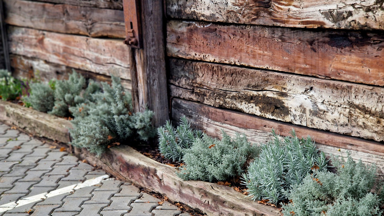 Close up of railroad tie retaining wall