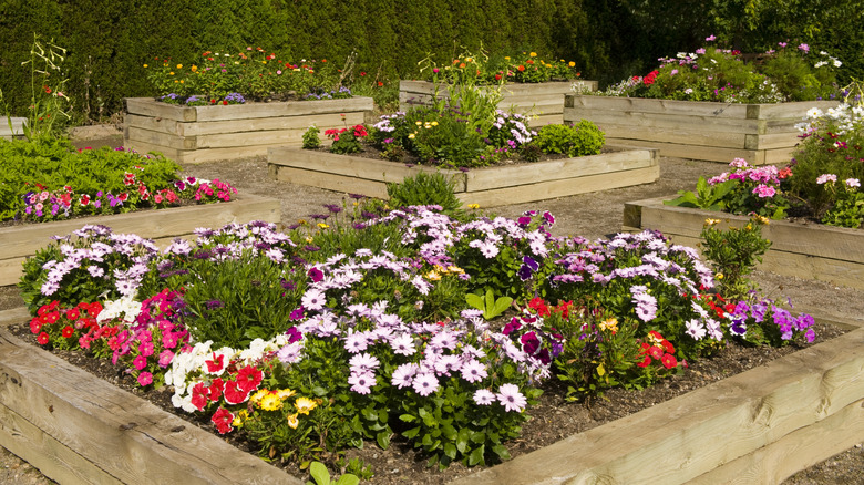 Raised flower bed with colorful flowers