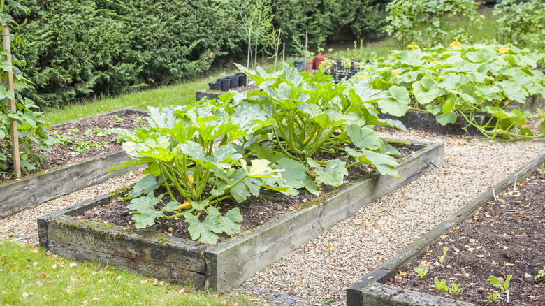 Railroad ties in the garden