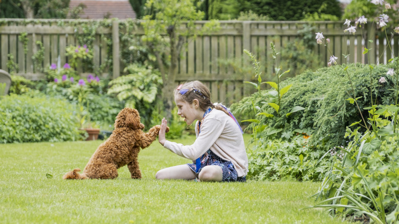 Child and puppy playing in the garden