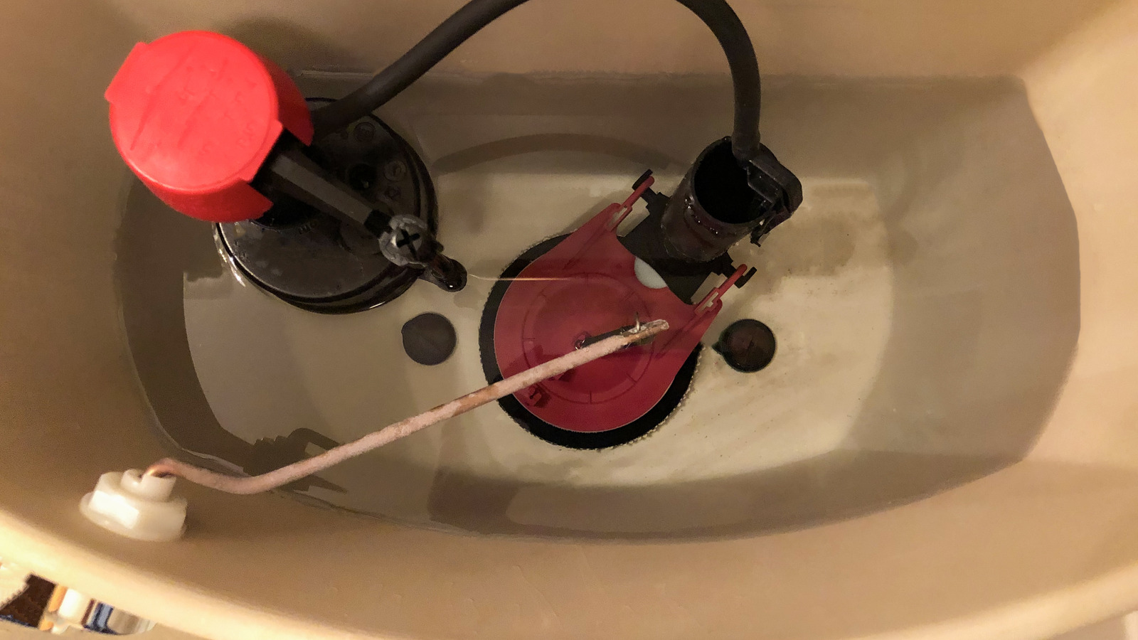 Toilet Flapper Not Sealing? Steps To Take Before Replacing