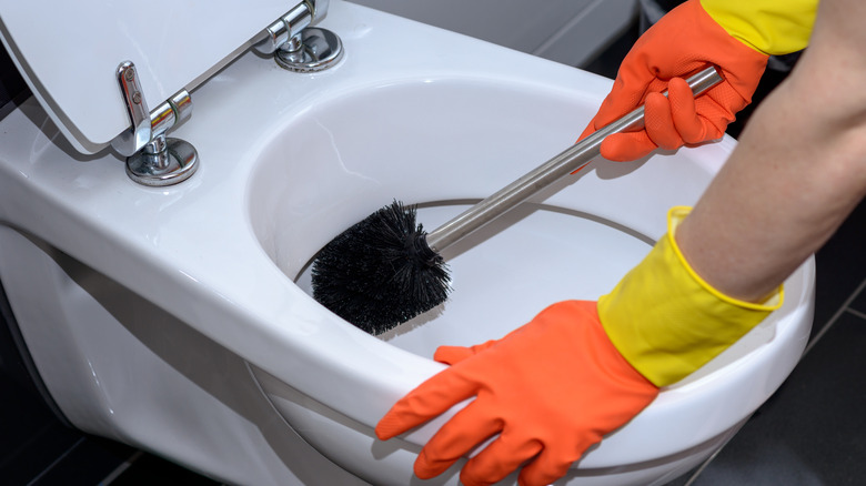 person cleaning toilet