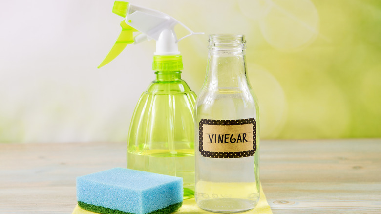 A spray bottle behind a bottle of vinegar next to a sponge