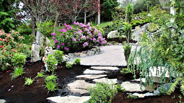 Rock footpath through garden
