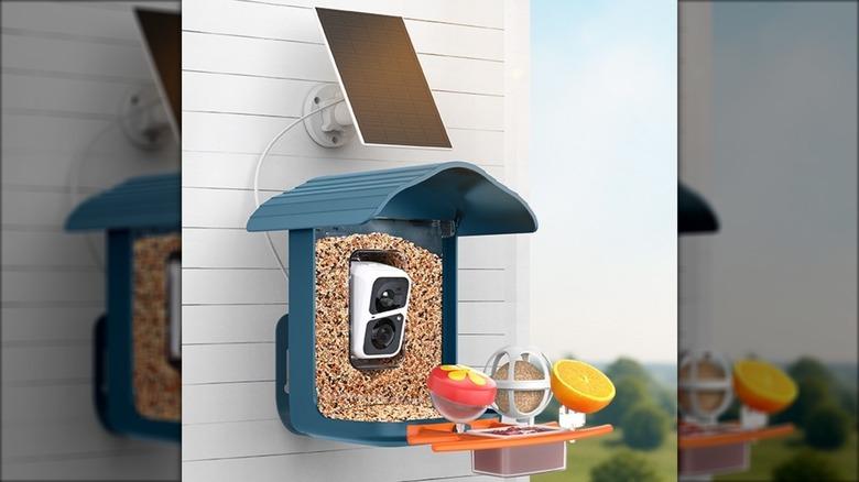 birdsnap PAV-Bird Feeder with Camera mounted on white home siding