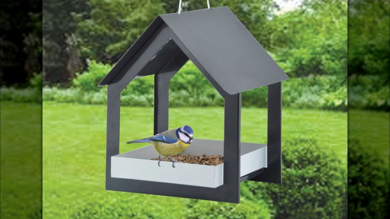 Esschert Design FB406 Anthracite Wall Bird Table hanging in a yard