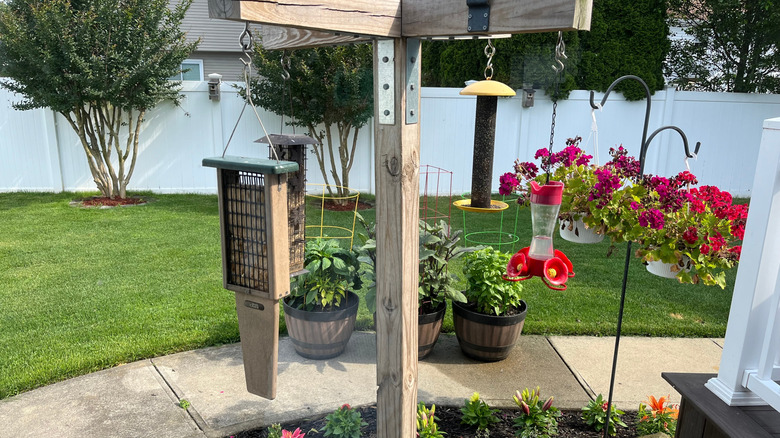 A variety of bird feeders hanging from a post
