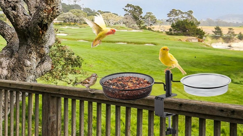Urban Deco Deck Mount Platform Bird Feeder attached to wood balcony railing