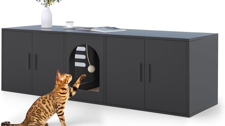 Cat playing litter box toy
