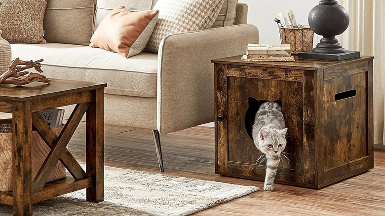 Cat leaving litter cabinet