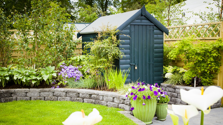 outdoor tool shed in yard