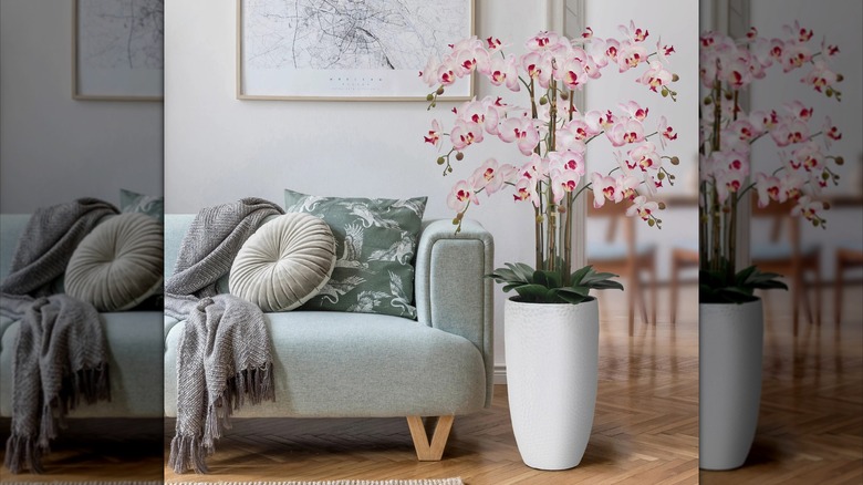 CGH Faux Phalaenopsis Orchid sitting next to a light green-hued couch
