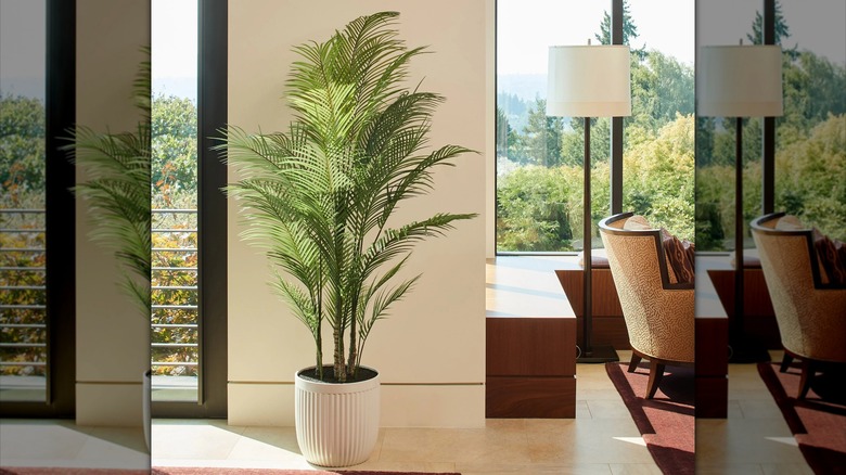 CGH Faux Palm Tree in living room