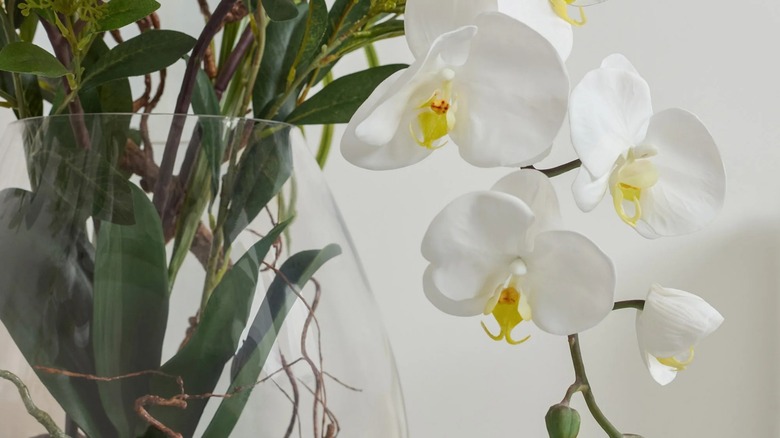 Close up view of Allstate Living Faux Phalaenopsis Orchid Arrangement