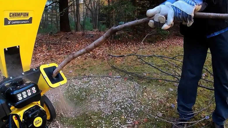 Person feeds a tree branch into a Champion Power Equipment 2-in-1 Upright Gas Powered Wood Chipper Shredder
