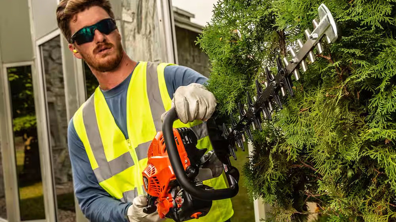 A man uses an ECHO Gas Hedge Trimmer to trim a fir tree