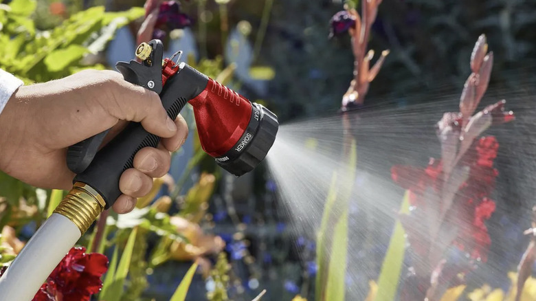 A man uses the Greenwood trigger spray nozzle to water flowers