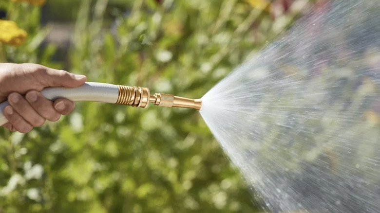 Person uses brass nozzle to water plants