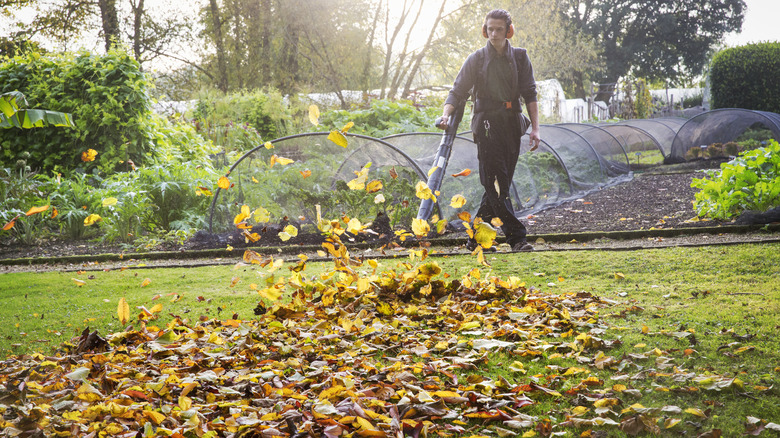 A person using a leaf blower