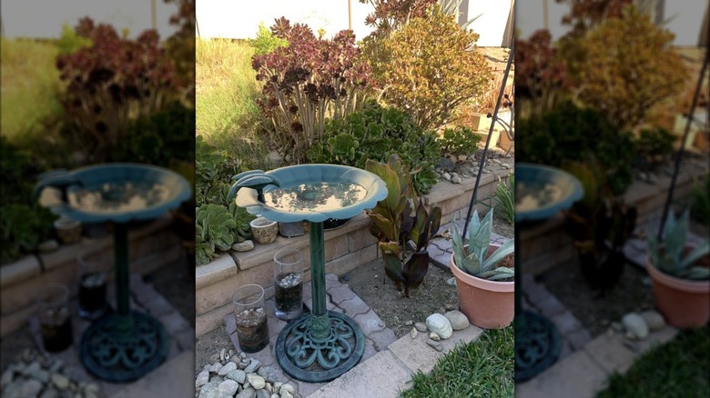 Alpine Corporation's 31-inch Plastic Complete Birdbath in a garden setting
