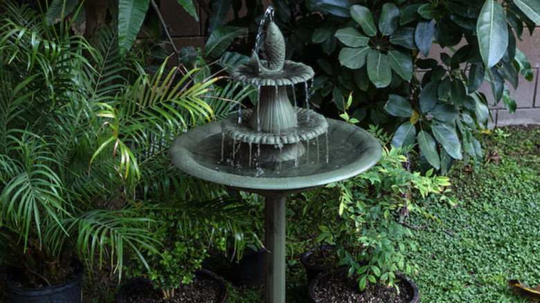 Alpine Corporation's 40-inch Green Plastic Complete Birdbath