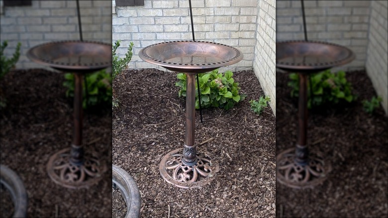 Best Choice Products' Outdoor Rustic Pedestal Bird Bath in the corner of a garden
