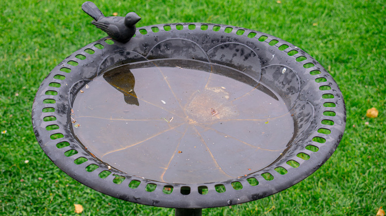 A blue bird bath in a beautiful flower garden