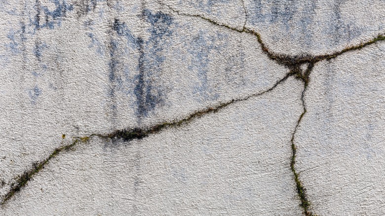 A crack in a home's foundation
