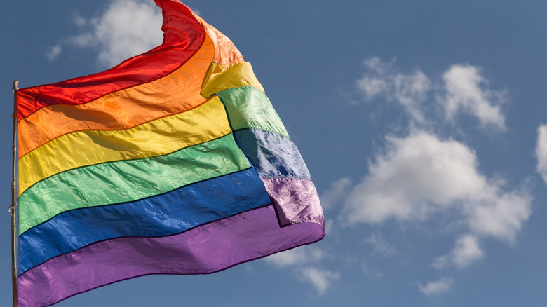 pride flag blowing in the wind