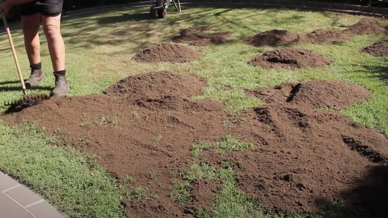 Topdressing Your Lawn Is The Easiest Way To Get Better Looking Grass how-much-is-25-grams-in-teaspoons-cappuccino-oracle