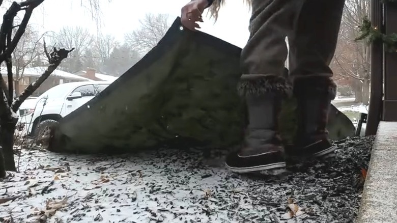 Person laying tarp in yard to preserve bare patch for dog to go to the bathroom