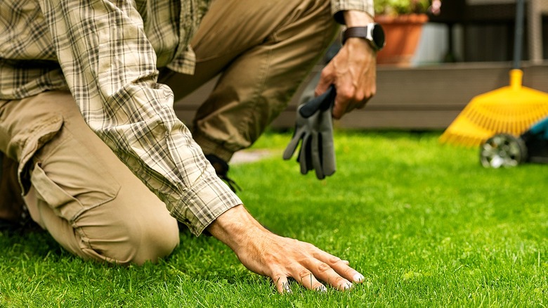 A person kneeling in a lawn, with a hand pressed to the grass and another handholding gloves