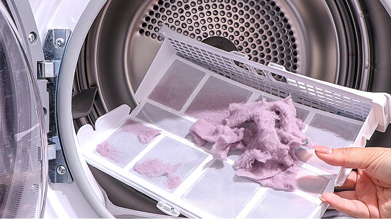 Close-up of a person showing a tray with lint from a dryer