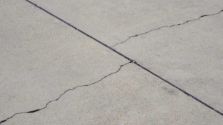 Cracked concrete in a patio