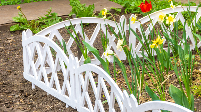 Flower garden with white plastic border fence