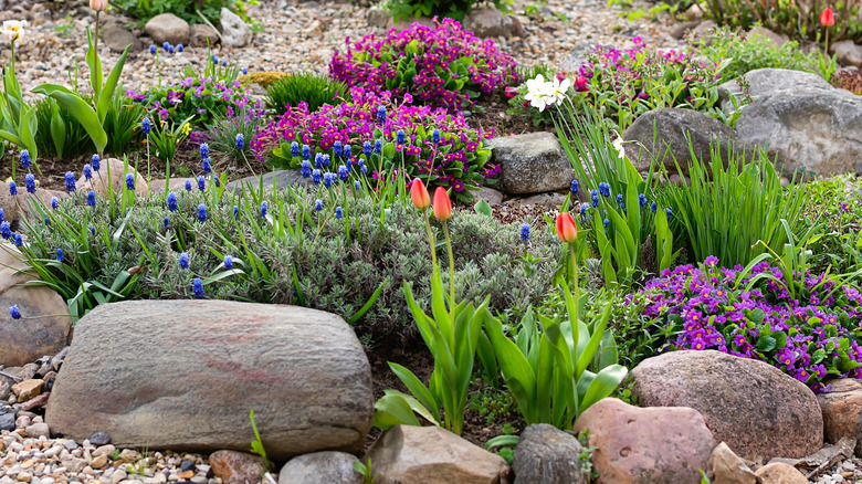 Colorful rock garden