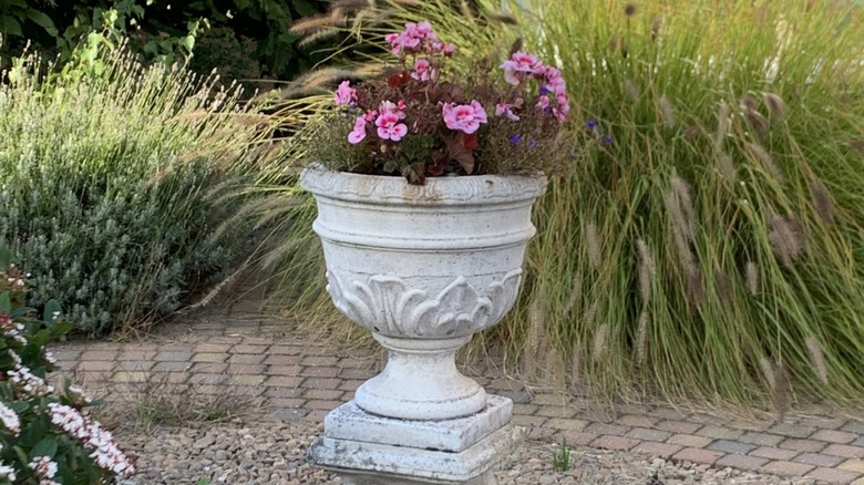A white concrete planter with pink flowers.