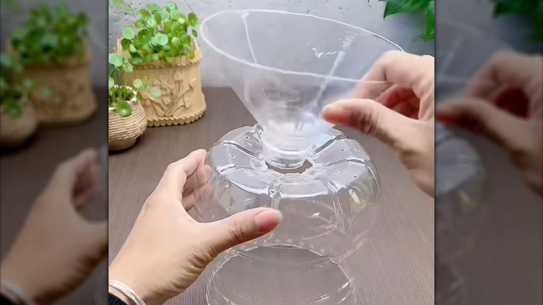 Person making a DIY planter using plastic water jug