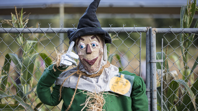Wizard of Oz scarecrow replica in a garden