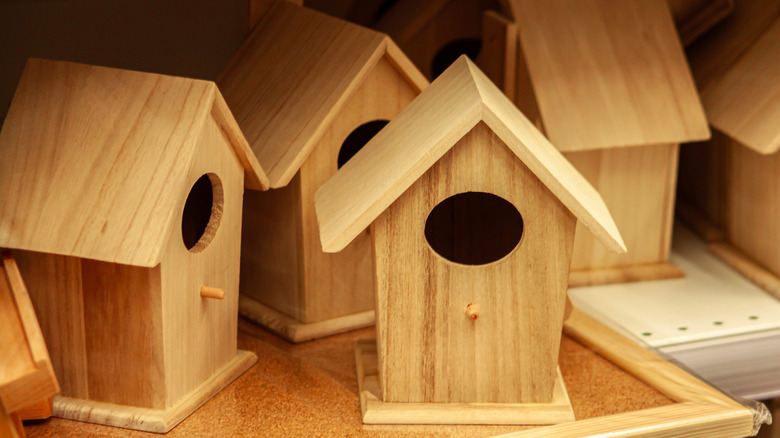 Blank wooden birdhouses on a shelf