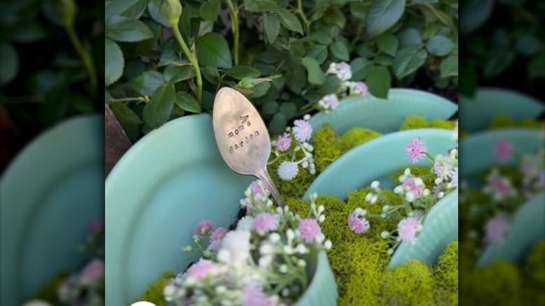 Tutorial for the dish garden container garden