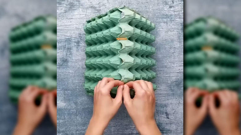 Person tying egg cartons using zip-ties
