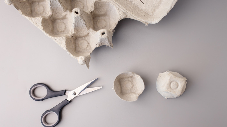 Egg carton and scissors on a table