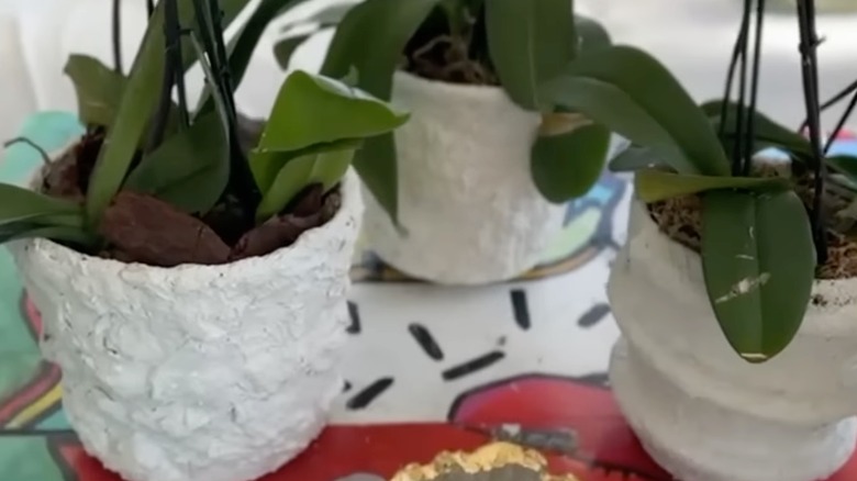 Three handmade white pots on a colorful table.
