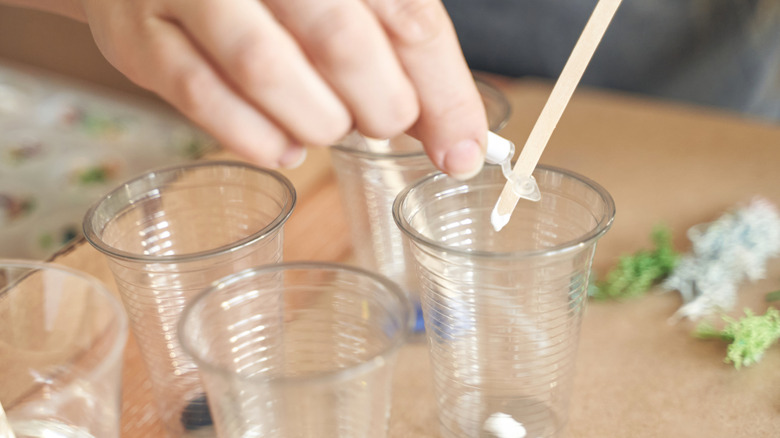 A hand squeezes glue onto a craft stick while holding it above a clear plastic cup next to other plastic cups on a crafting table.