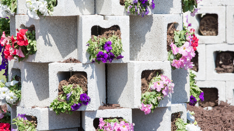 cinder blocks with flowering plants