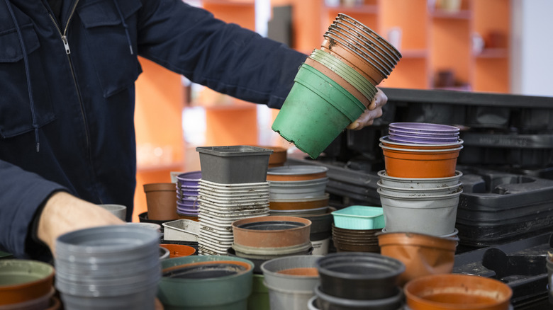 person looking at plastic nursery pots