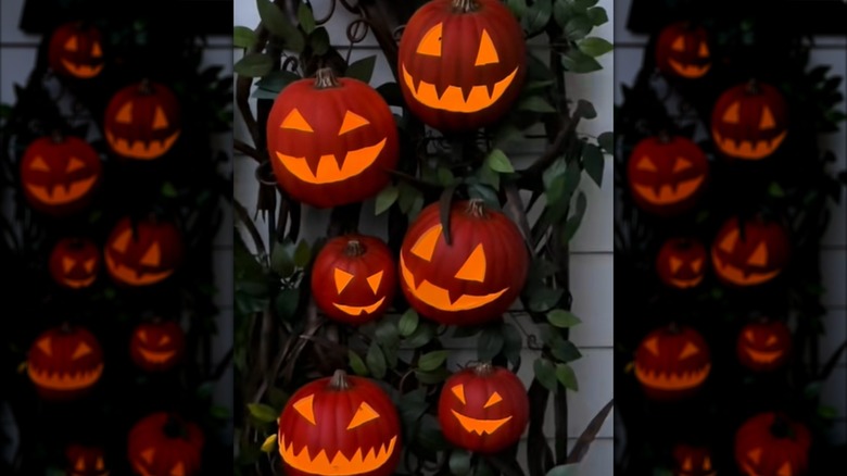 A completed pool noodle vine trellis is decorated with glowing jack-o'-lanterns.